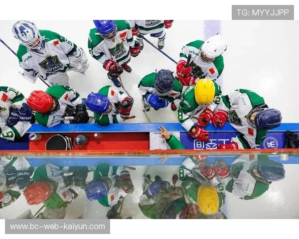 冰球俱乐部与高校共建科研项目改善少年训练方法