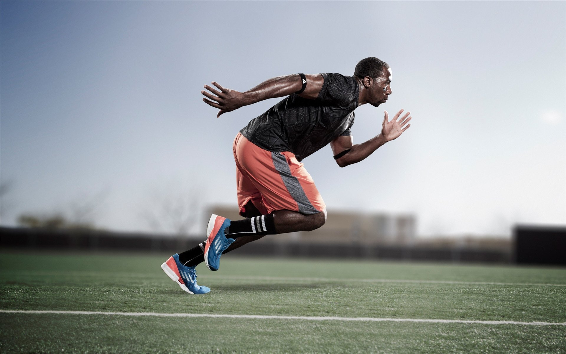 新星前锋成为转会焦点